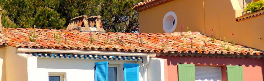 flrrurs sur toit a port grimaud