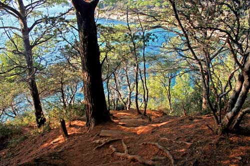 sentier littoral