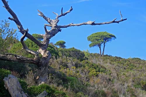 sentier littoral