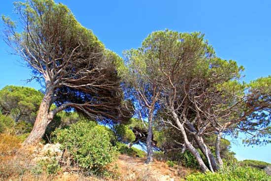 sentier littoral