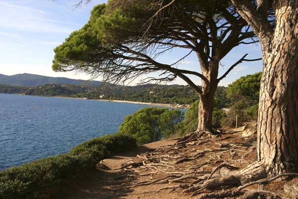 sentier littoral