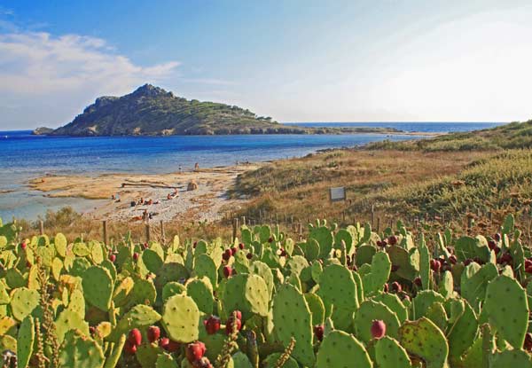 sentier littoral